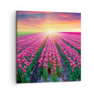 Obraz na plátně - Farma krásy - 60x60 cm