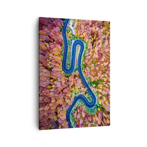 Obraz na plátně - Klikatá cesta lesem - 50x70 cm