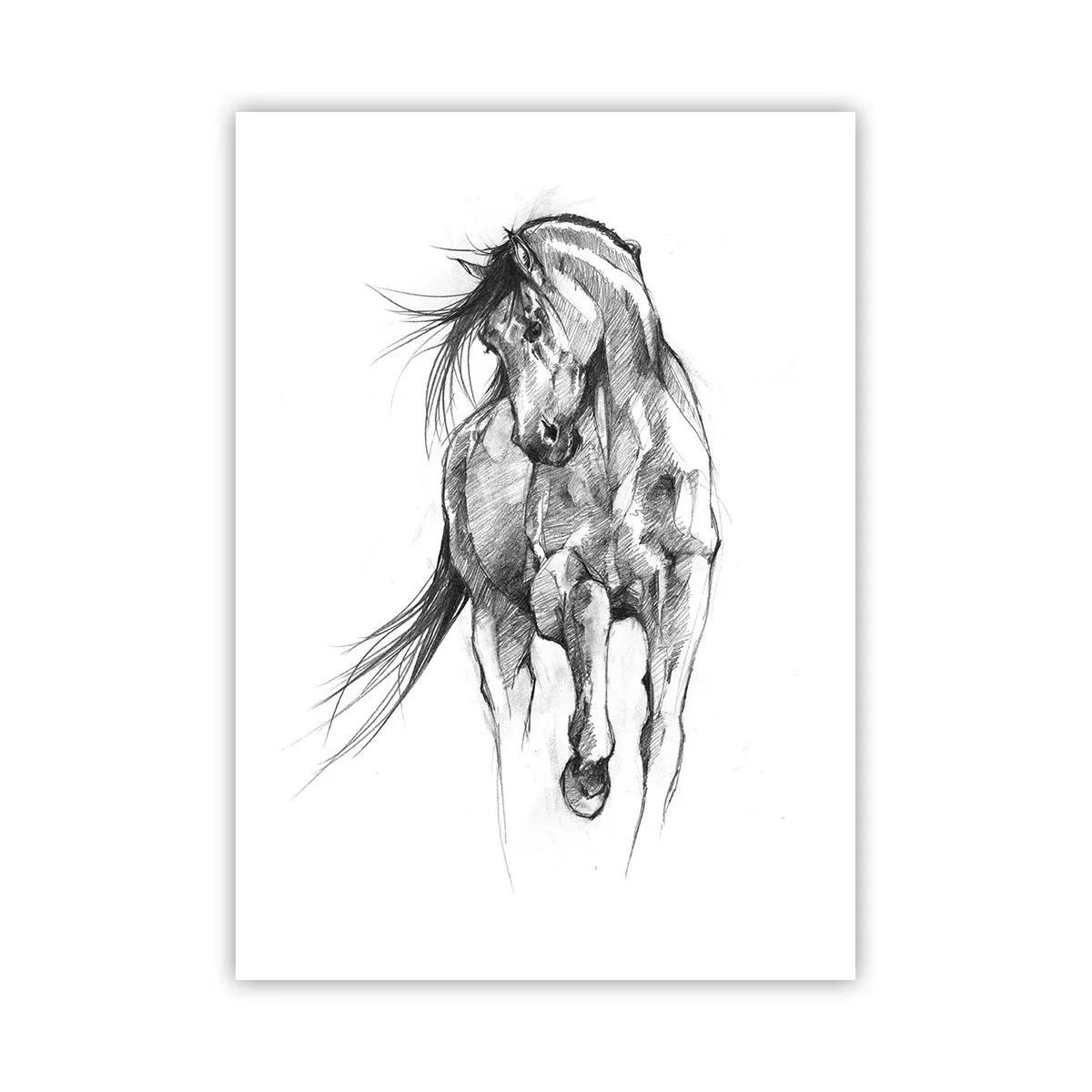 Plakát - V ladném klusu - 50x70 cm
