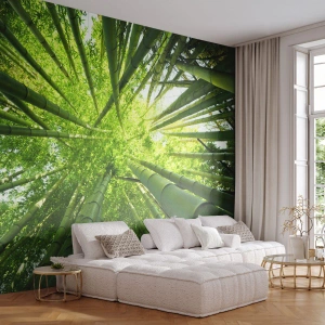 Fototapeta Premium Sand - V bambusovém háji - Bambusový les, Džungle, Bambus - 400x280 cm