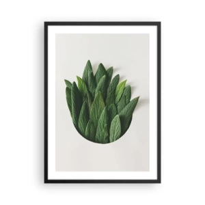 Plakát v černém rámu - Listy v umělecké kompozici na bílém pozadí - 50x70cm - Neukojitelná zvědavost - Moderní nástěnná dekorace do obývacího pokoje a ložnice ARTTOR