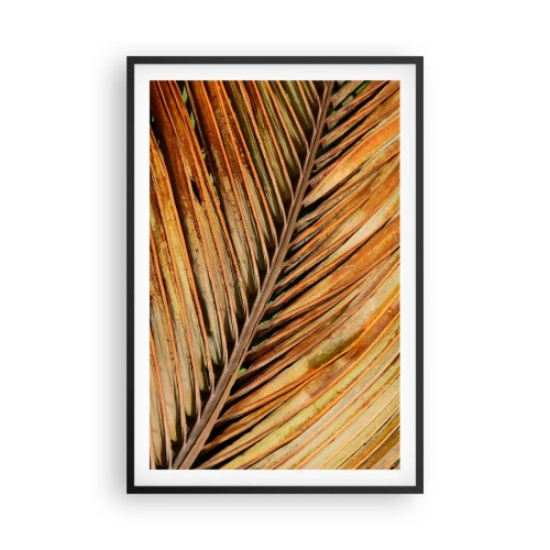Plakát v černém rámu - Kokosové zlato - 61x91 cm