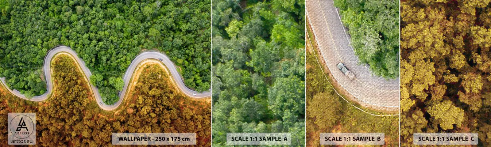 Vzor Fototapety Premium Canvas - Hranice a průlomy - Krajina, Cesta autem, Les - 100x30 cm