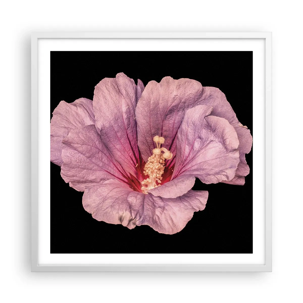 Plakát v bílém rámu - Přímo do srdce - 60x60 cm