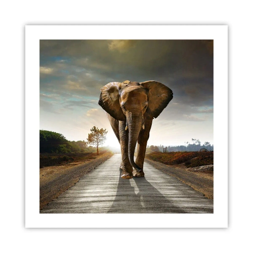 Plakát - A vůbec ne ve skladu porcelánu - 50x50 cm