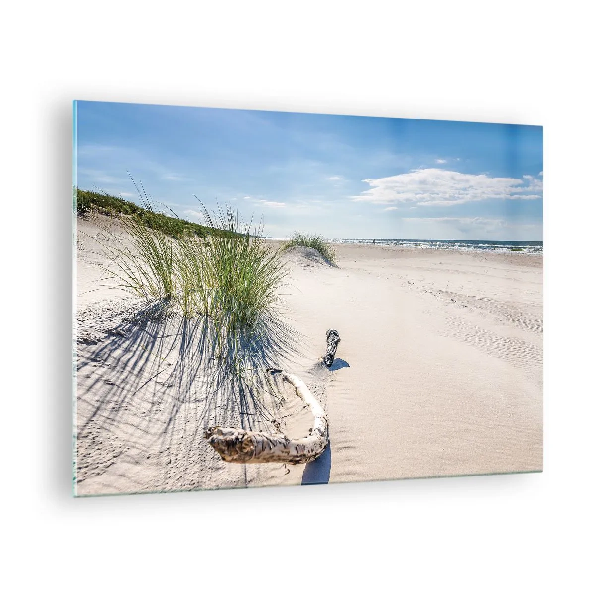 Obraz na skle - Slunečná pláž s dunami a mořskou trávou - 70x50cm - Nejkrásnější? Baltská - Moderní nástěnná dekorace do obývacího pokoje a ložnice ARTTOR