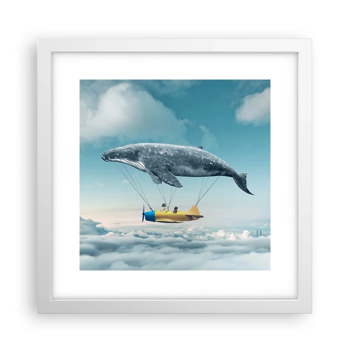 Plakát v bílém rámu - Proč ne? - 30x30 cm