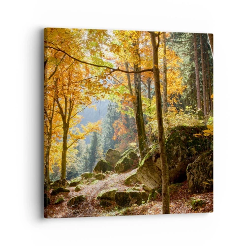 Obraz na plátně - Čas na odpočinek - 40x40 cm