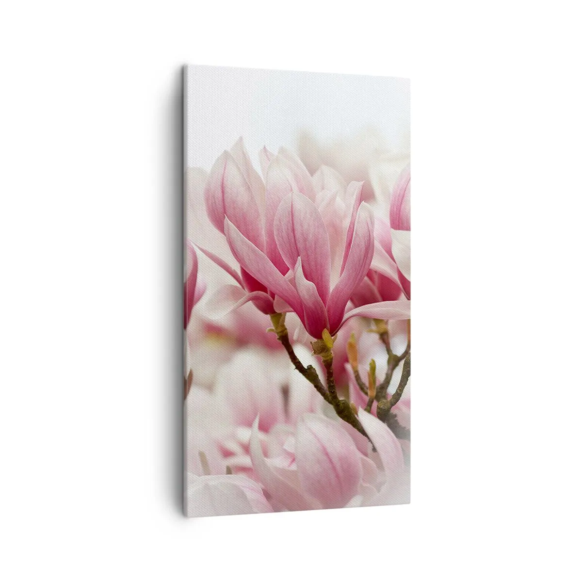 Obraz na plátně - Jarní květy - 45x80 cm