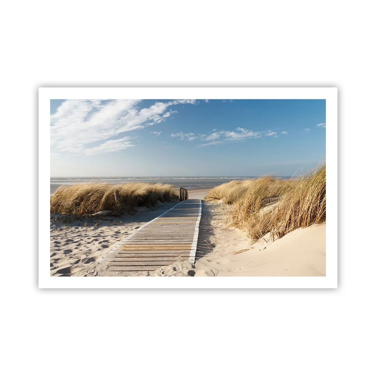 Plakát - Za dunou, v šumění trávy - 91x61 cm