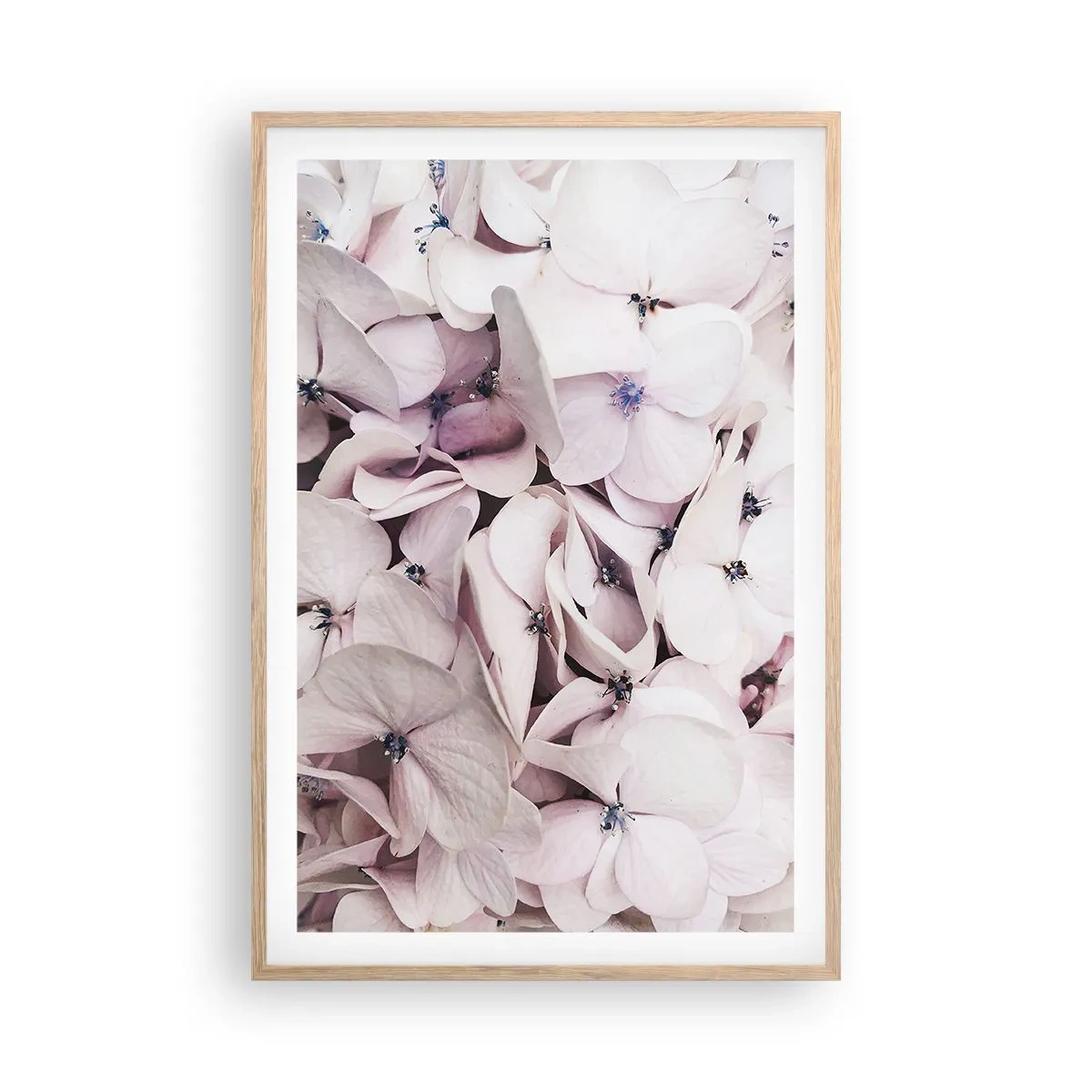 Plakát v rámu světlý dub - V záplavě květin - 61x91 cm