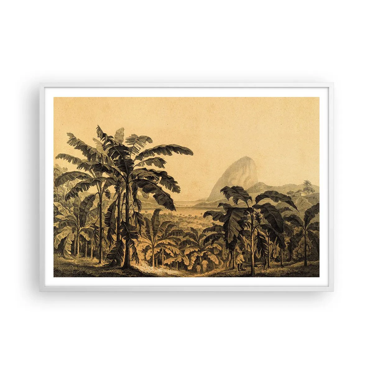 Plakát v bílém rámu - V koloniálním stylu - 100x70 cm
