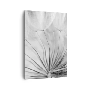 Obraz na plátně - Pampelišky - 70x100 cm