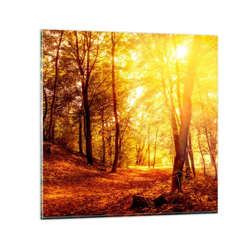 Obraz na skle - Ke zlaté mýtině - 70x70 cm