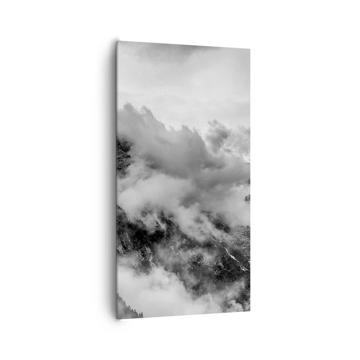 Obraz na plátně - Krásné a kruté - 65x120 cm