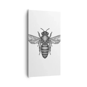 Obraz na plátně - Hmyzí portrét - 65x120 cm
