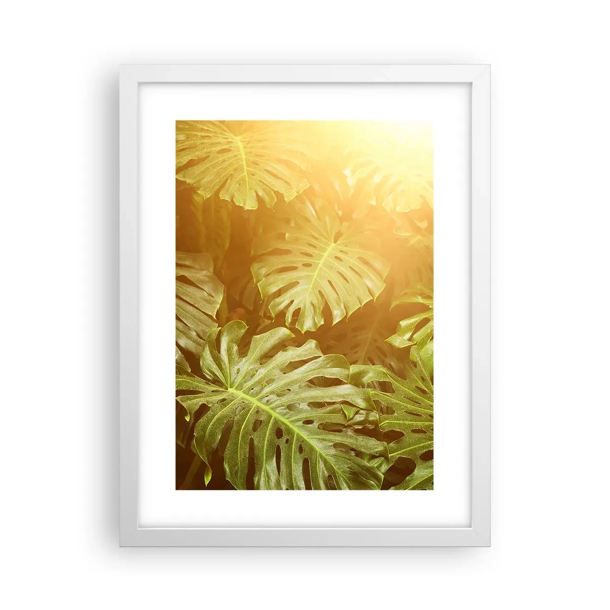 Plakát v bílém rámu - Vstoupit do zeleně… - 30x40 cm