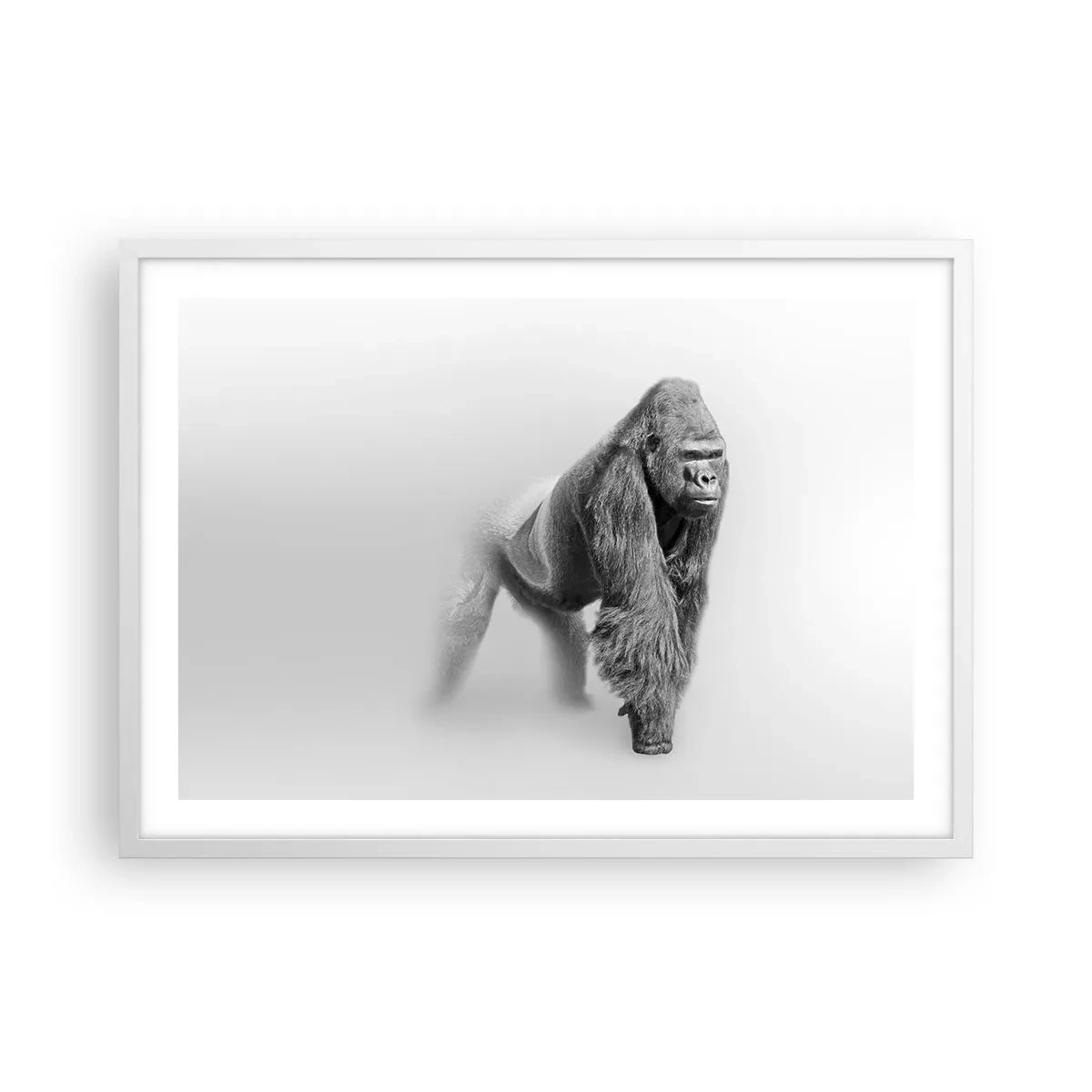 Plakát v bílém rámu - Jistý si svojí silou - 70x50 cm