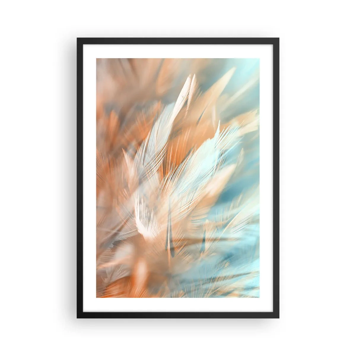 Plakát v černém rámu - Jemné peří v odstínech modré a broskvové - 50x70cm - V krajině něhy - Moderní nástěnná dekorace do obývacího pokoje a ložnice ARTTOR