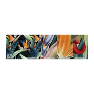 Vzor Fototapety Premium Sand - Plamenné květy tropů - Královská Strelitzia, Květ, Afrika - 100x30 cm