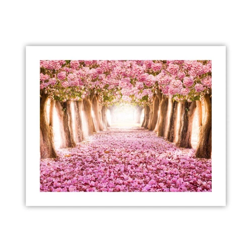 Plakát - Cesta do ráje - 50x40 cm