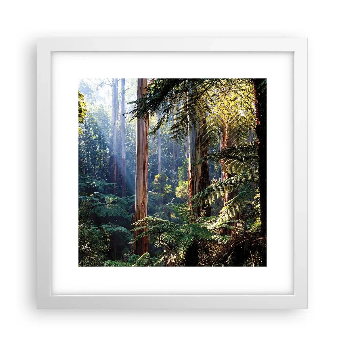 Plakát v bílém rámu - Povídka lesa - 30x30 cm