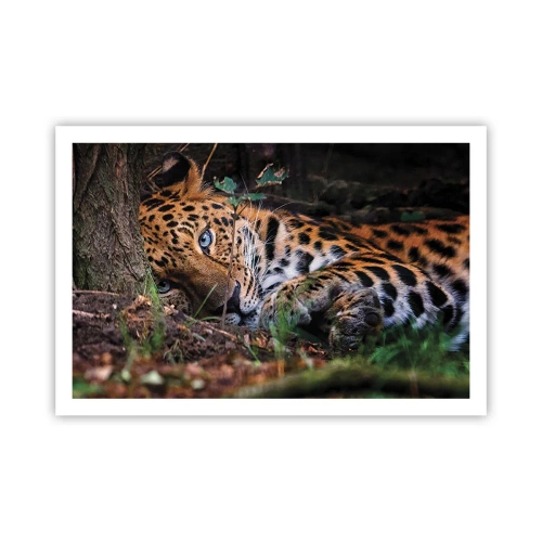 Plakát - Věř mi - 91x61 cm