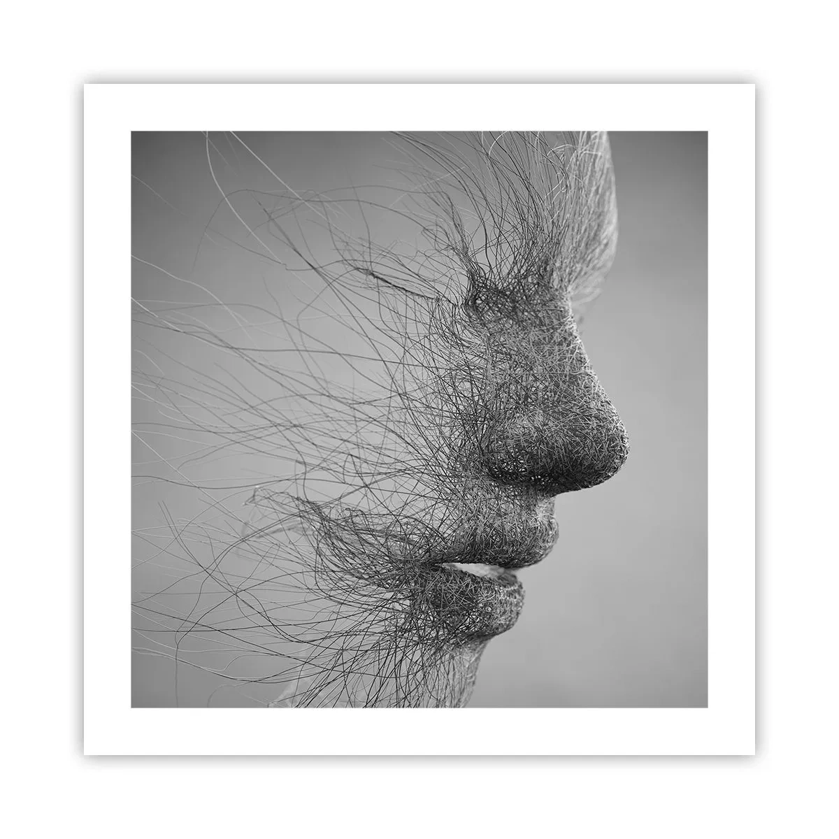 Plakát - Duch větru - 50x50 cm