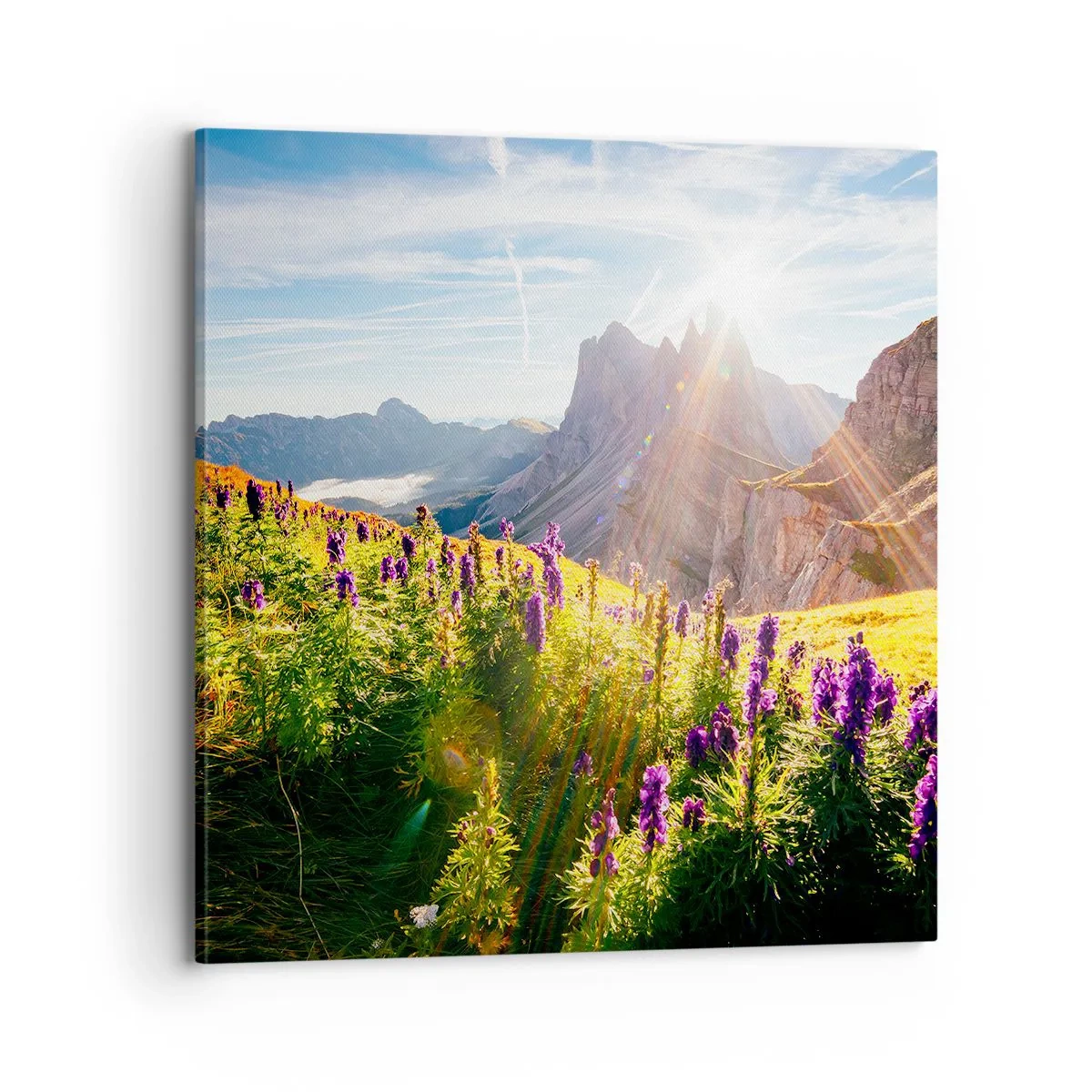 Obraz na plátně - Tajemný život bylin - 70x70 cm