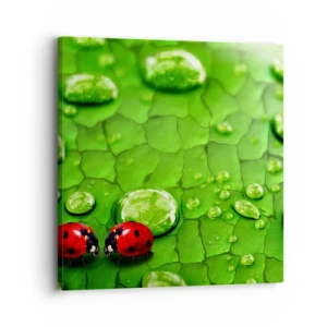 Obraz na plátně - Setkání v zeleni - 30x30 cm