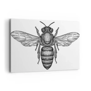 Obraz na plátně - Hmyzí portrét - 100x70 cm