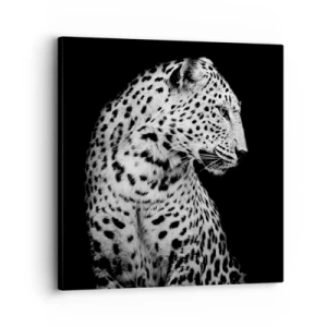 Obraz na plátně - Pravý profil perfektní! - 30x30 cm