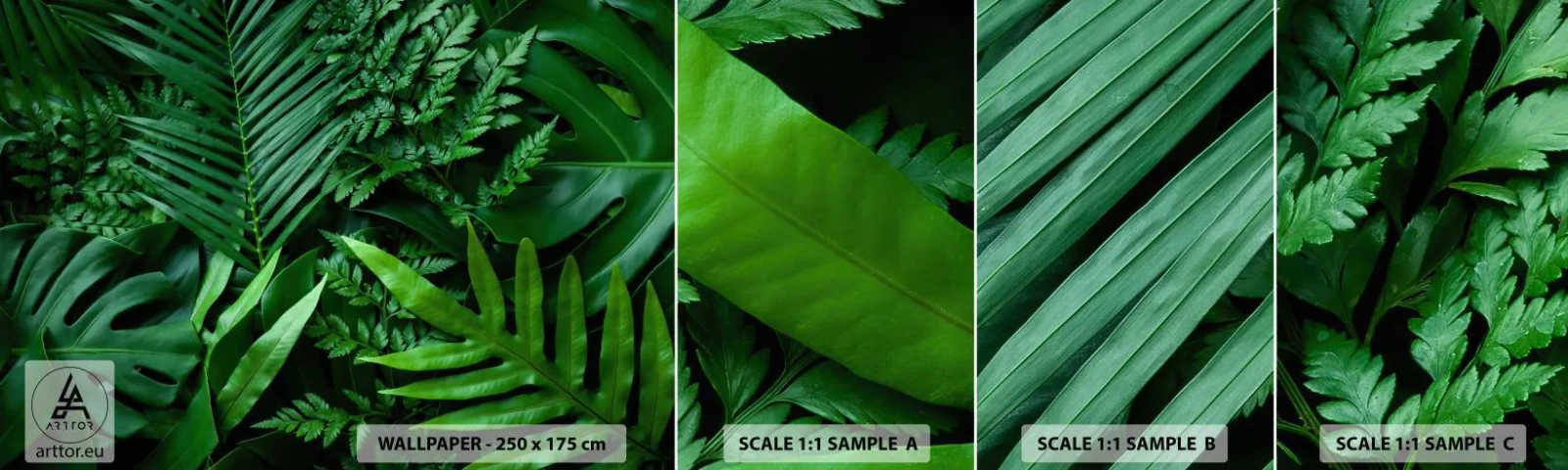 Vzor Fototapety Samolepicí Deluxe Sticker - Objaté v zeleni - Exotická rostlina, Palmový list, List Monstera - 100x30 cm