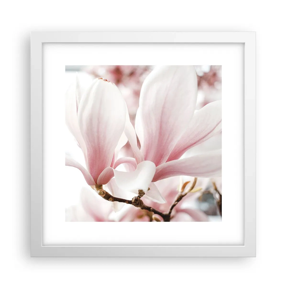 Plakát v bílém rámu - Nesmírnost něžnosti - 30x30 cm