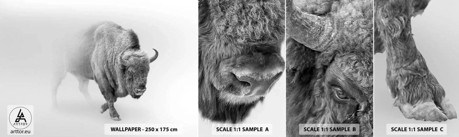 Vzor Fototapety Samolepicí Deluxe Sticker - Král prérie - Wisent, Zvířata, Bizon - 100x30 cm