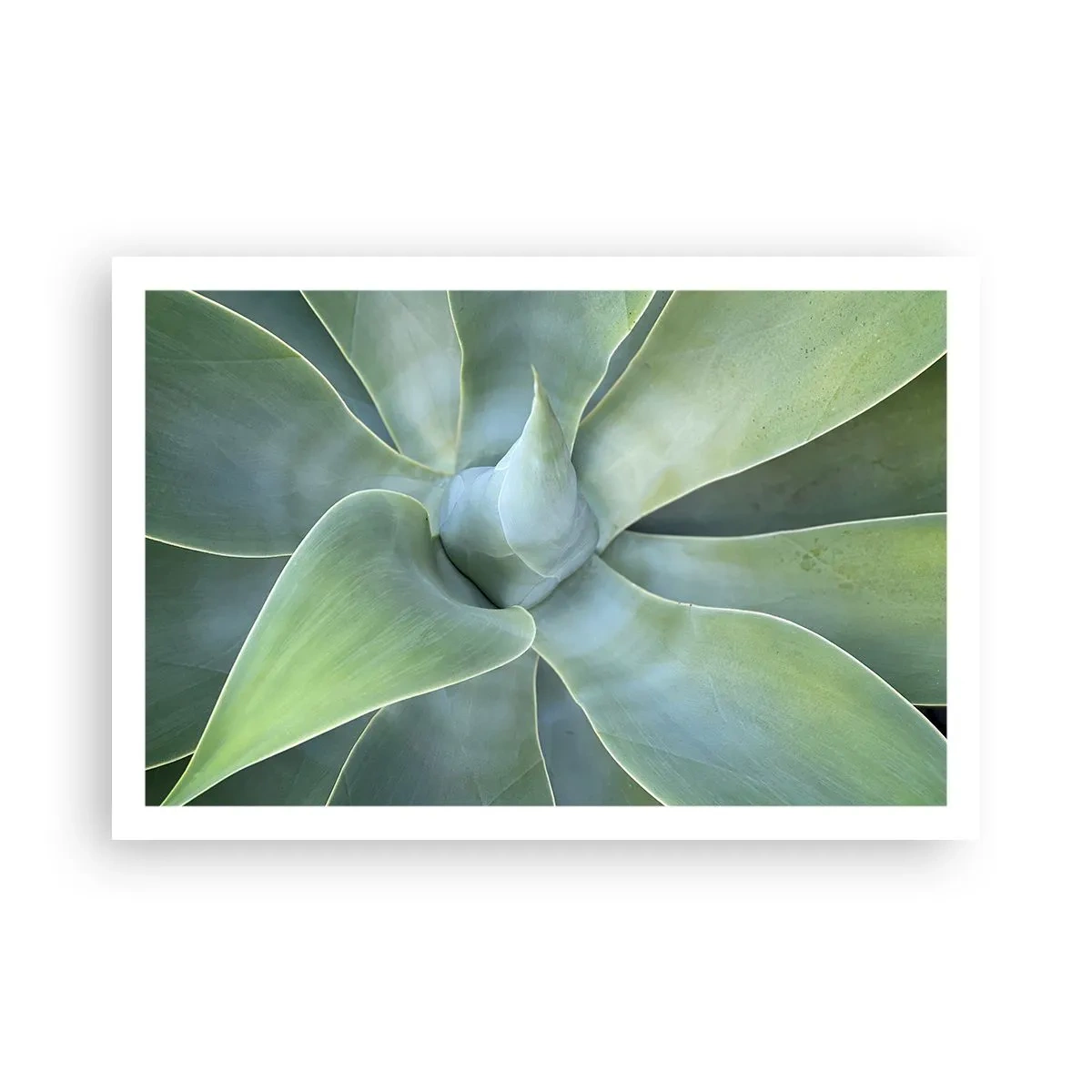 Plakát - Zrození zeleně - 91x61 cm