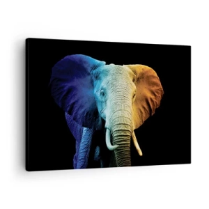 Obraz na plátně - Portrét slona v barvách duhy - 70x50cm - Výstřední muž, ale ne podivín - Moderní nástěnná dekorace do obývacího pokoje a ložnice ARTTOR