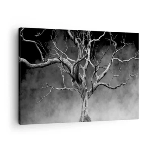 Obraz na plátně - Suchý strom v černé a bílé proti mlze - 70x50cm - Původní a svaté - Moderní nástěnná dekorace do obývacího pokoje a ložnice ARTTOR