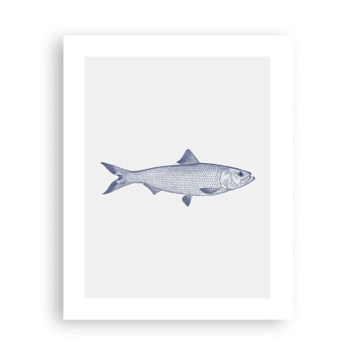 Plakát - Pozdravy ze severních moří - 40x50 cm