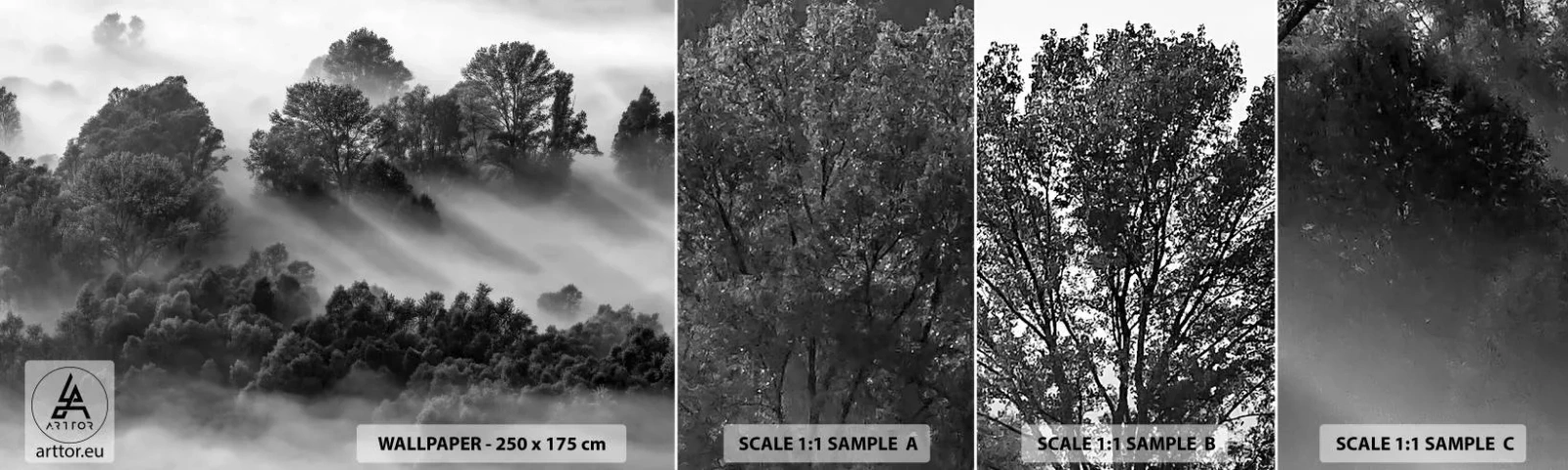 Fototapeta Vzorek Standard Eco - Probouzení ze spánku - Krajina, Les, Mlha - 100x30 cm