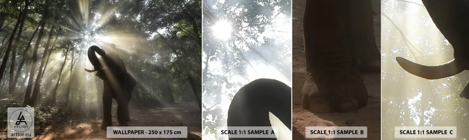 Vzor Fototapety Samolepicí Deluxe Sticker - Pod šťastnou hvězdou - Krajina, Slon, Džungle - 100x30 cm