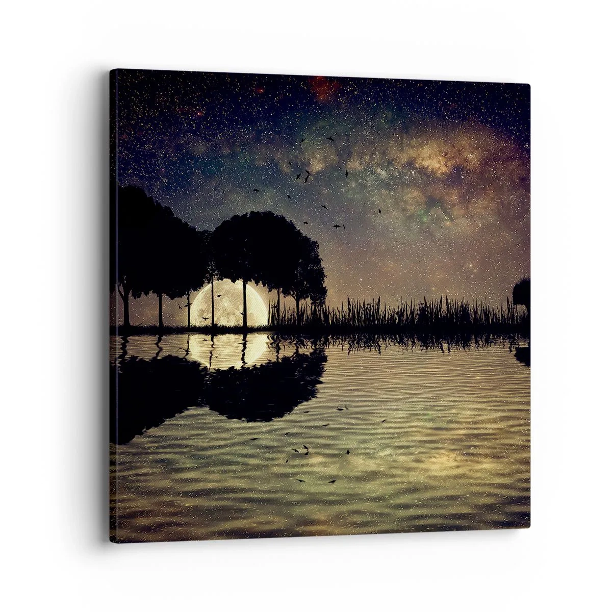 Obraz na plátně - Noc na konci světa - 40x40 cm