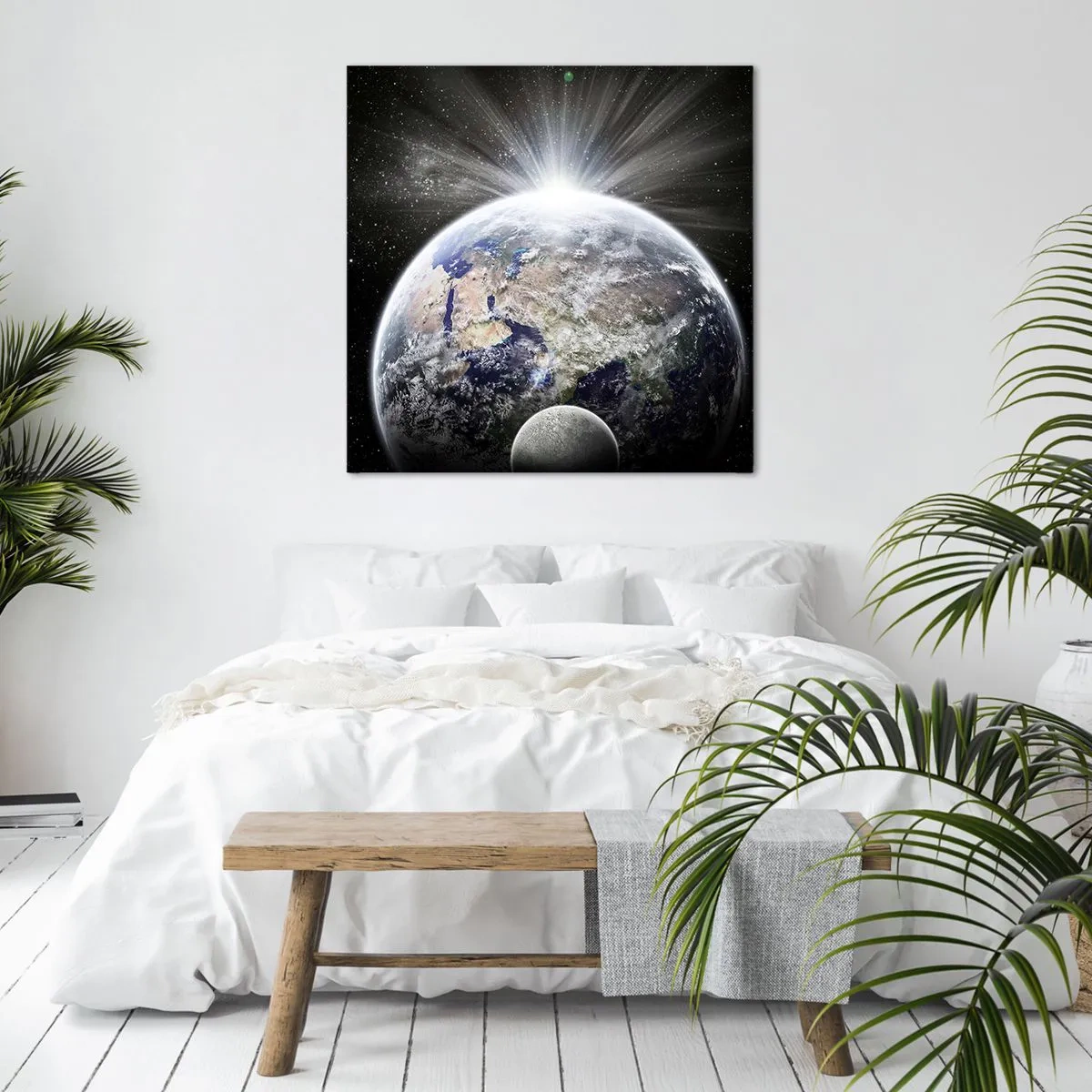 Obraz na plátně - V plném lesku - 70x70 cm