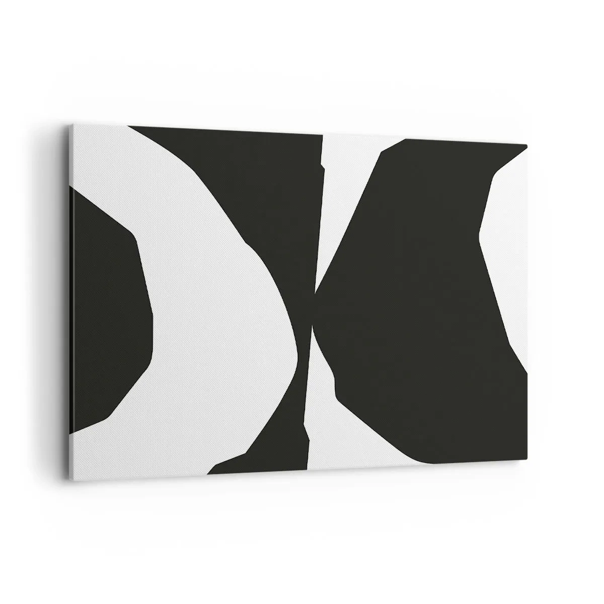 Obraz na plátně - Positive-negative - 120x80 cm