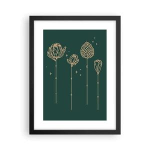 Plakát v černém rámu - Bylinky - 30x40 cm