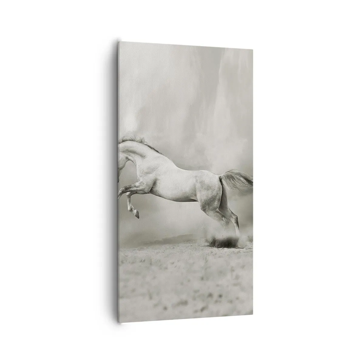 Obraz na plátně - Mezi bděním a snem - 65x120 cm