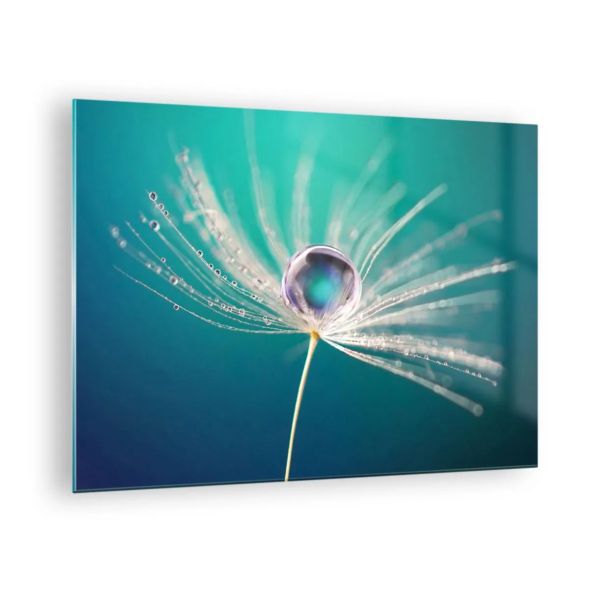 Obraz na skle - Makrofotografie semínka pampelišky s kapkou rosy na tyrkysovém pozadí - 70x50cm - Mystický okamžik - Moderní nástěnná dekorace do obývacího pokoje a ložnice ARTTOR