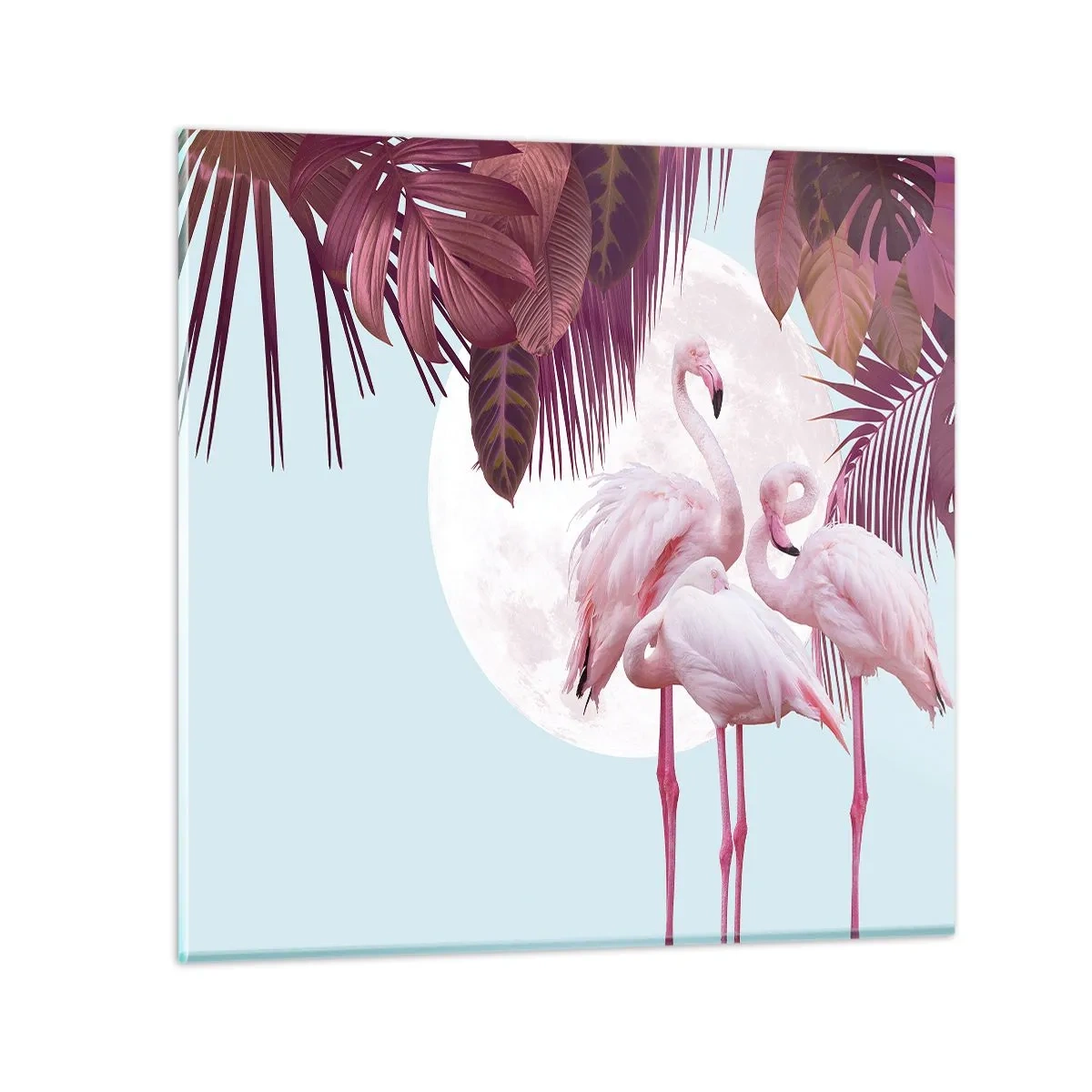 Obraz na skle - Tři ptačí grácie - 70x70 cm