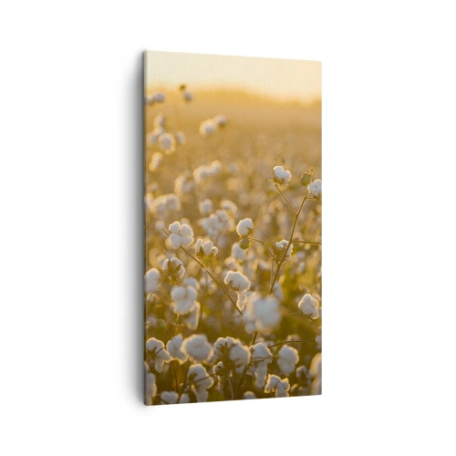 Obraz na plátně - Chlupaté pole - 45x80 cm