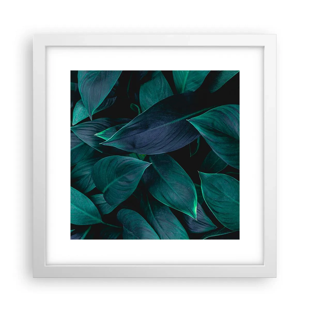 Plakát v bílém rámu - Zeleň sama o sobě - 30x30 cm